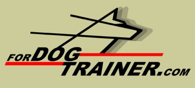 dog training equipment