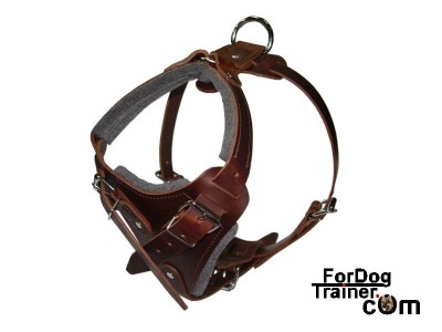 Leather  Harness on Dog Agitation Harness Heavy Duty Full Leather Agitation Harness This