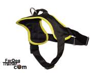 Nylon tracking dog harness for watching and guarding dogs