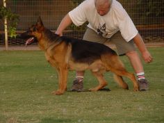 Kennel Accessories