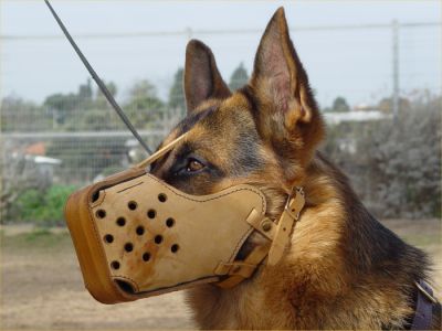 Basket weave muzzle new arrivals