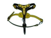 Tracking leather dog harness (View from the front)
